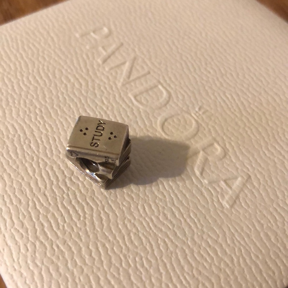 Textbook/Study Pandora Charm